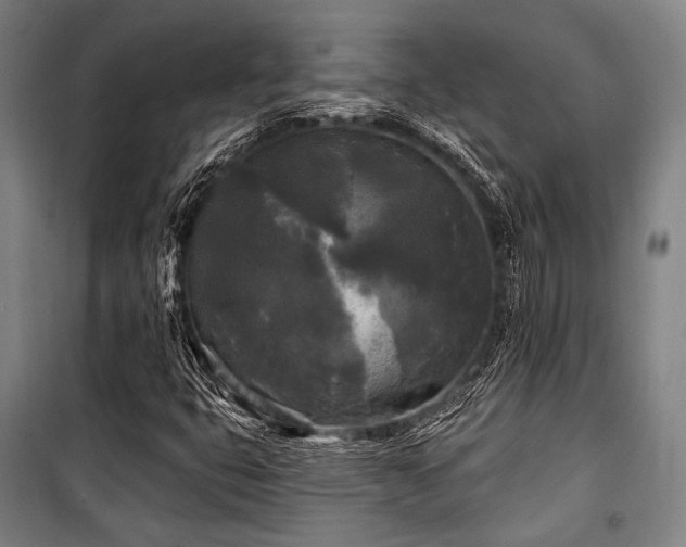 X0000100331399200806051523