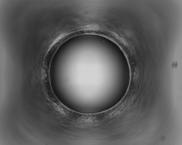 X0000100331400200806051523