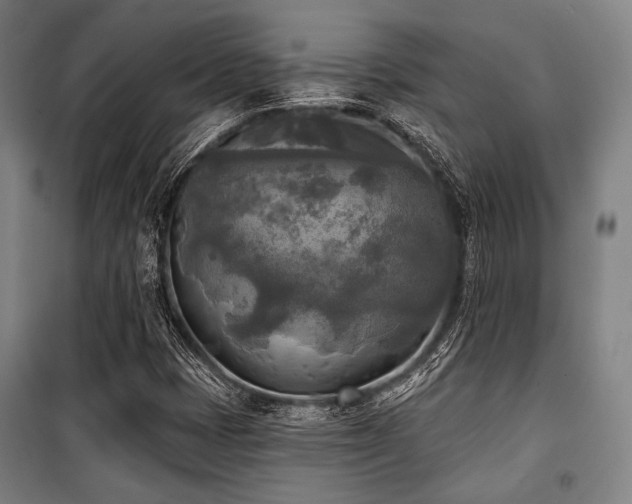 X0000100331401200806051523