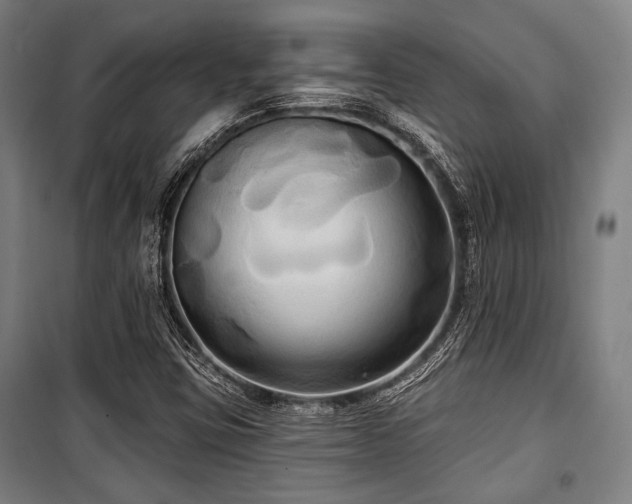X0000100331403200806051523