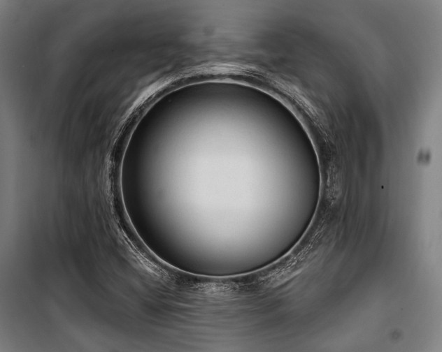 X0000100331404200806051523