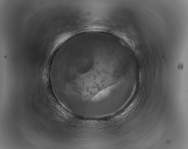 X0000100331405200806051523