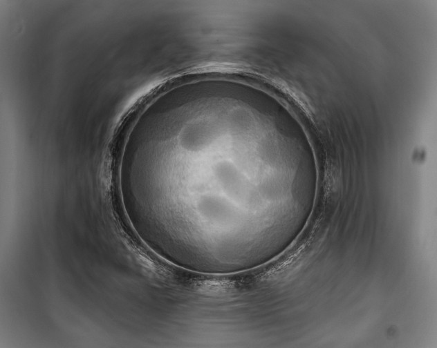 X0000100331406200806051523