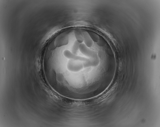 X0000100331407200806051523
