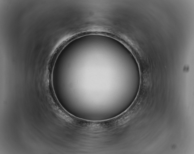 X0000100331408200806051523
