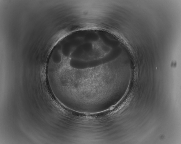 X0000100331409200806051523