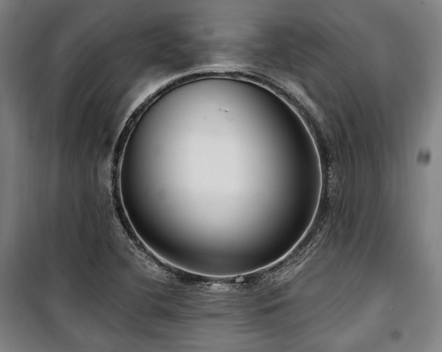 X0000100331412200806051523