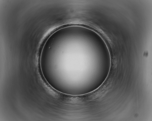 X0000100331416200806051523
