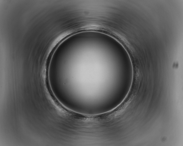 X0000100331418200806051523