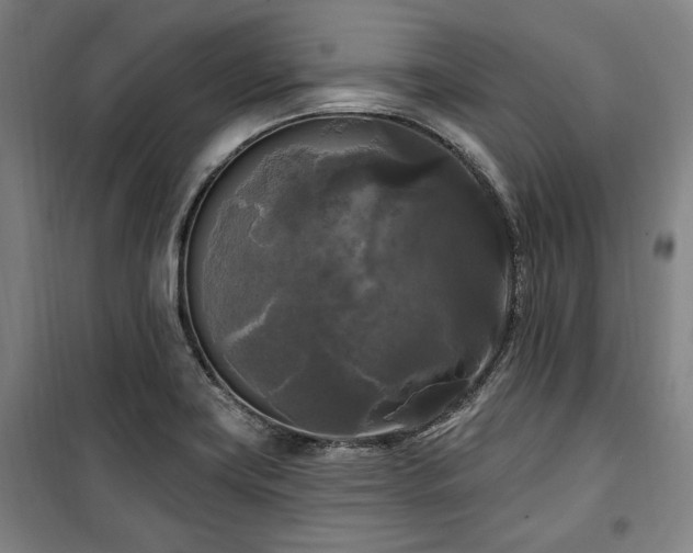 X0000100331419200806051523