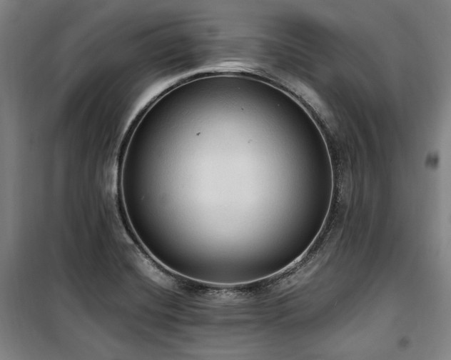 X0000100331420200806051523