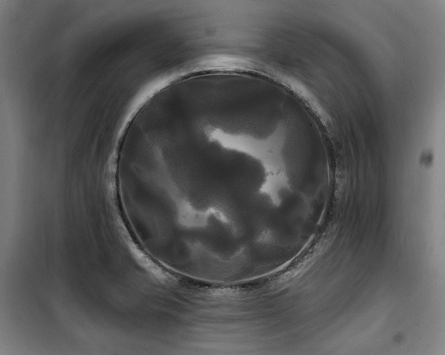 X0000100331421200806051523