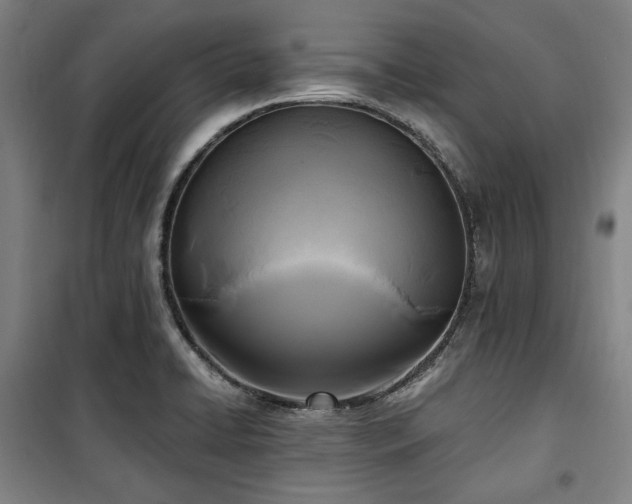 X0000100331422200806051523