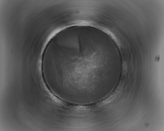 X0000100331424200806051523