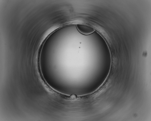 X0000100331426200806051523