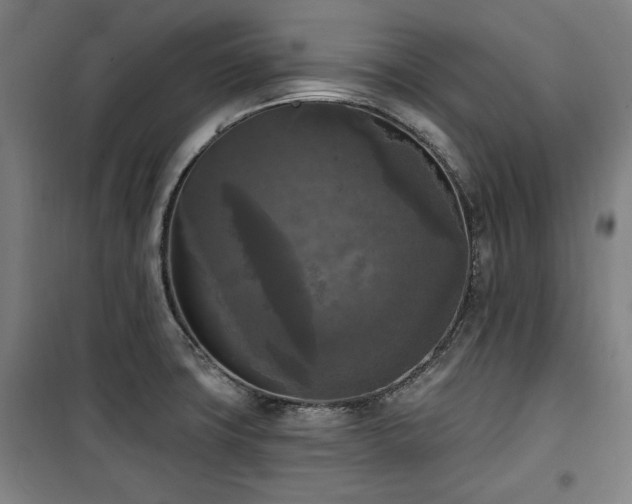 X0000100331427200806051523