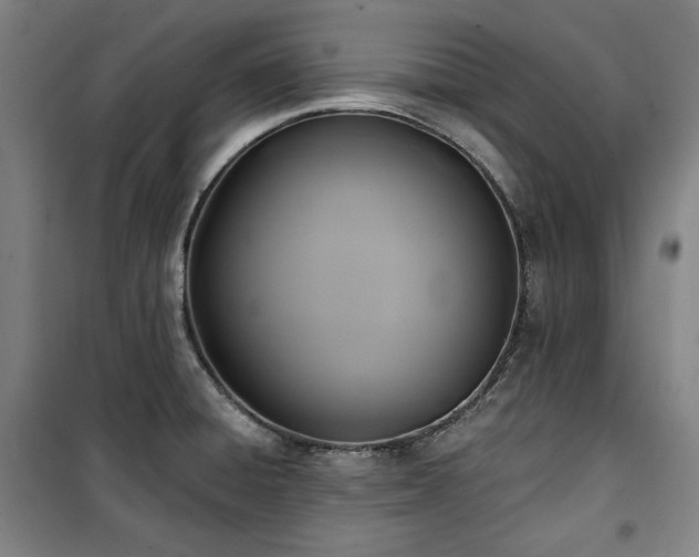 X0000100331428200806051523