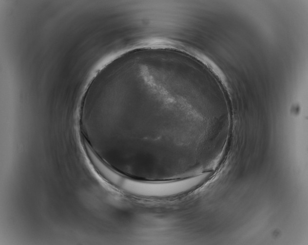 X0000100331429200806051523