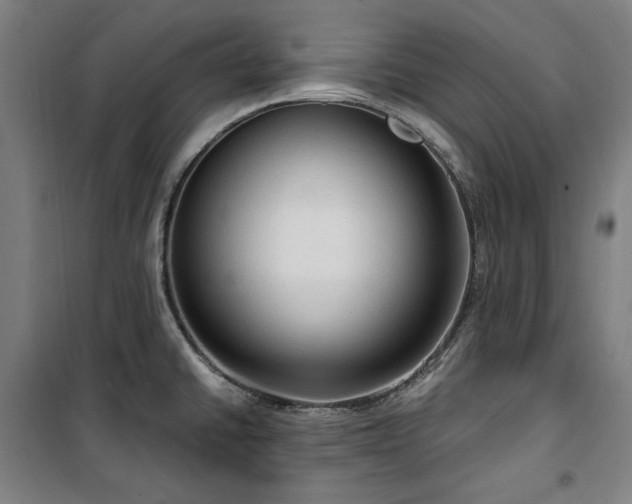 X0000100331430200806051524