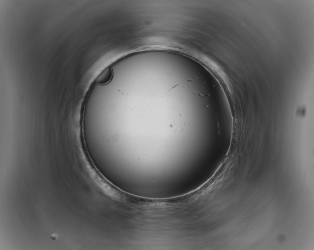 X0000100331431200806051524