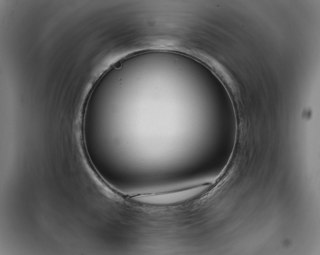 X0000100331432200806051524