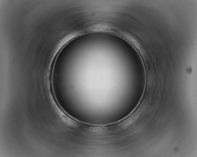 X0000100331434200806051524