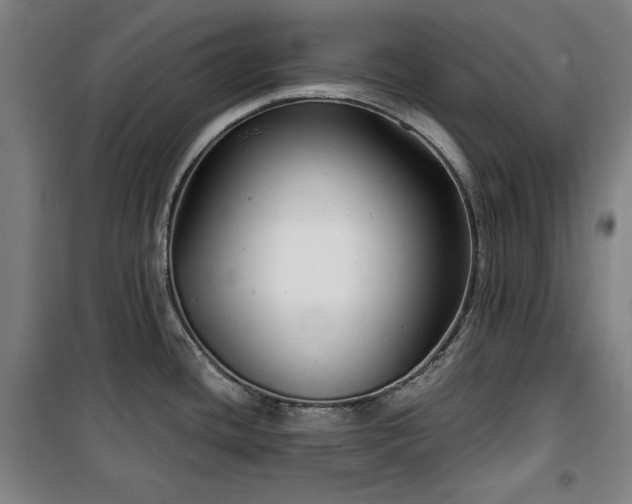 X0000100331436200806051524