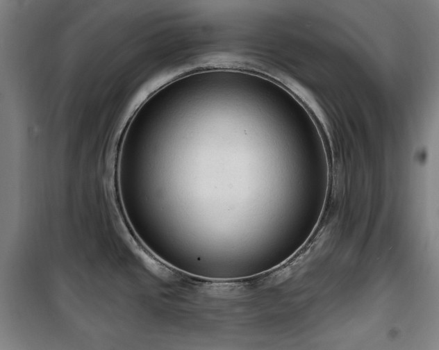 X0000100331437200806051524