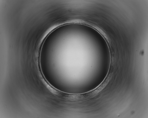 X0000100331438200806051524