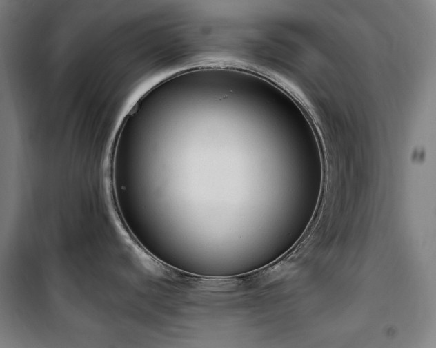 X0000100331440200806051524