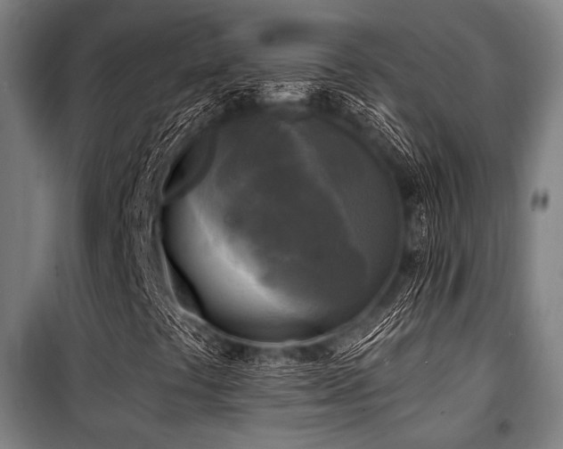 X0000100331441200806051523