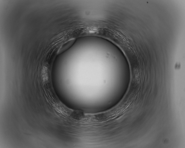 X0000100331442200806051523