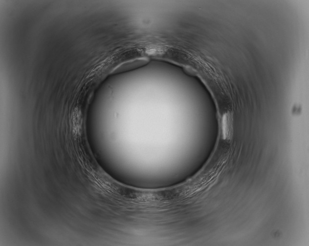 X0000100331443200806051523