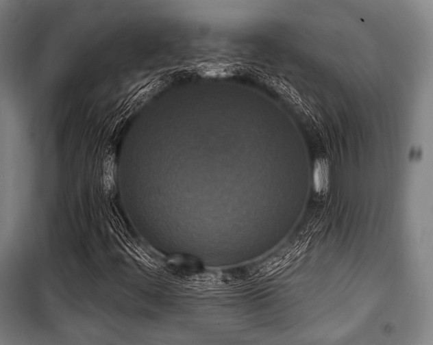X0000100331444200806051523