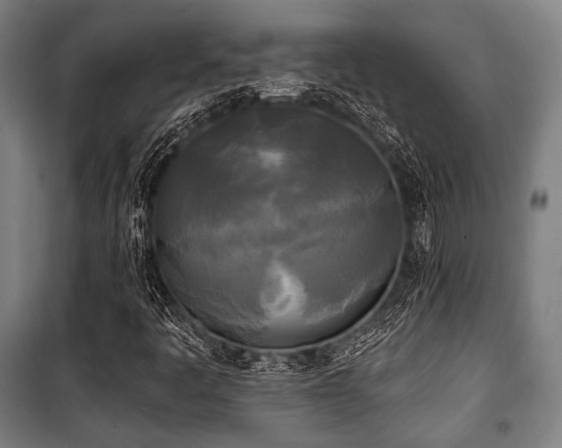 X0000100331445200806051523