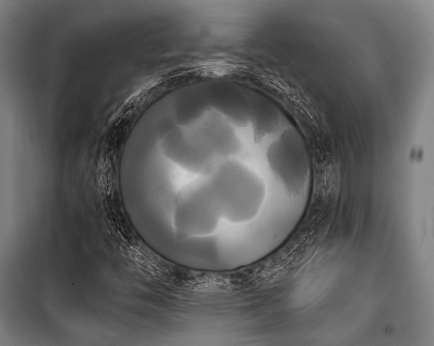 X0000100331446200806051523
