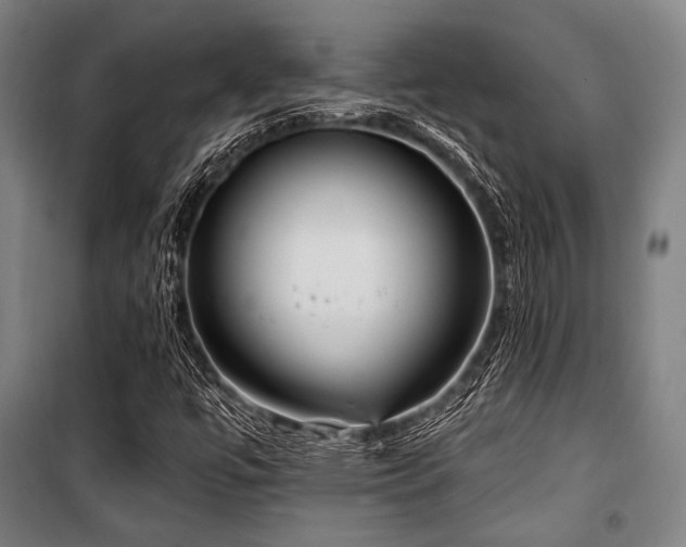 X0000100331447200806051523