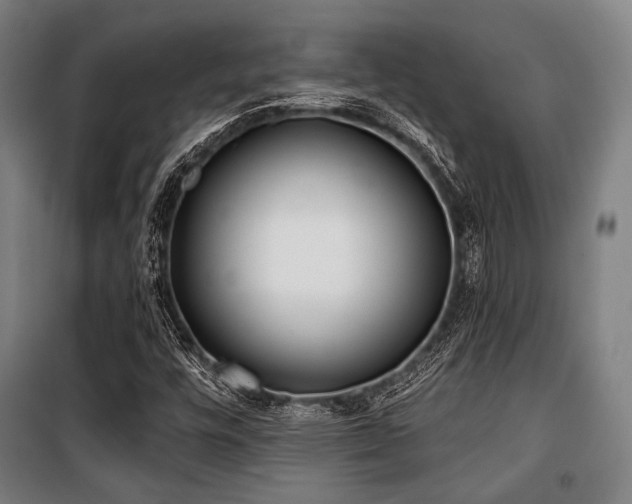 X0000100331448200806051523