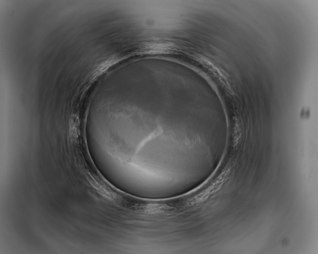 X0000100331449200806051523