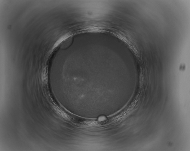 X0000100331450200806051523