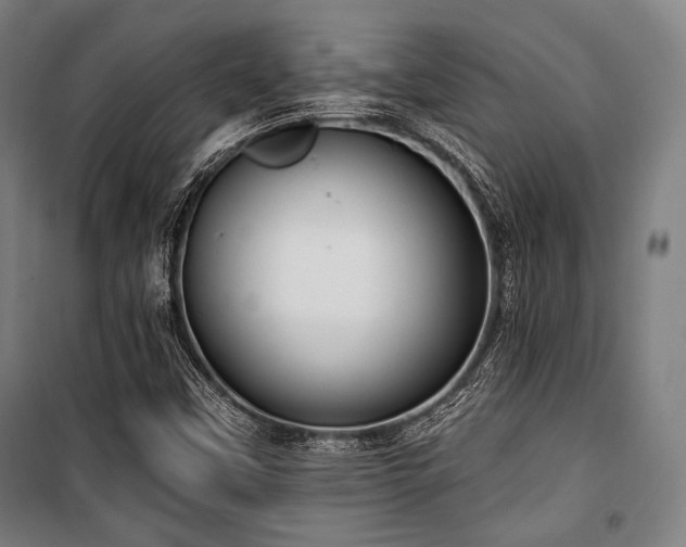 X0000100331451200806051523