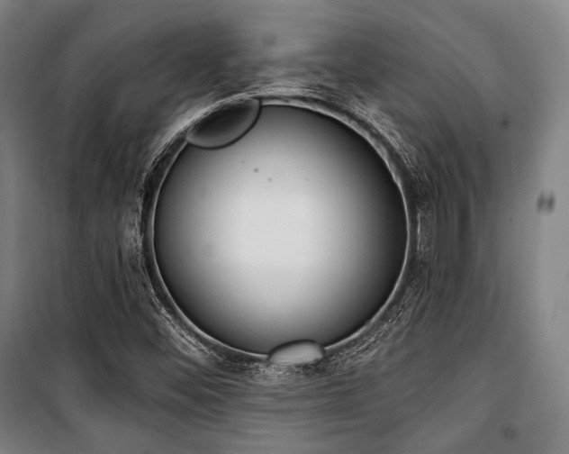 X0000100331452200806051523