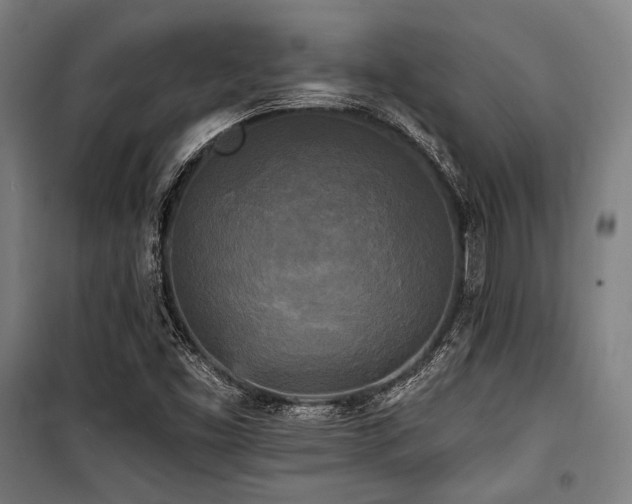 X0000100331453200806051523