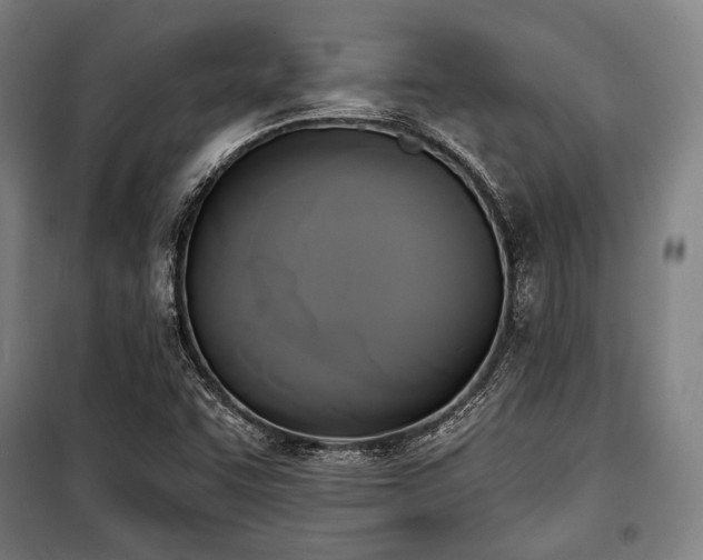 X0000100331455200806051523