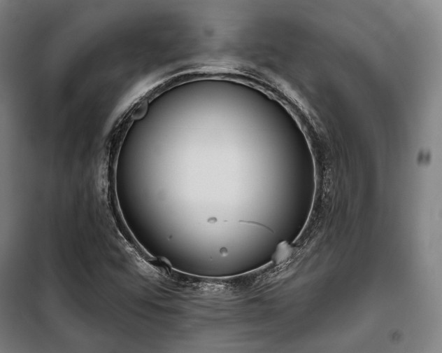 X0000100331456200806051523