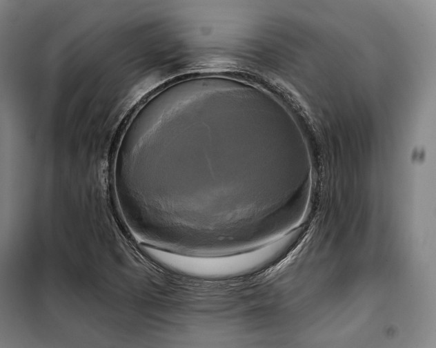X0000100331457200806051523