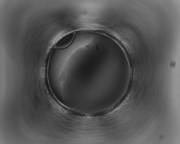 X0000100331459200806051523