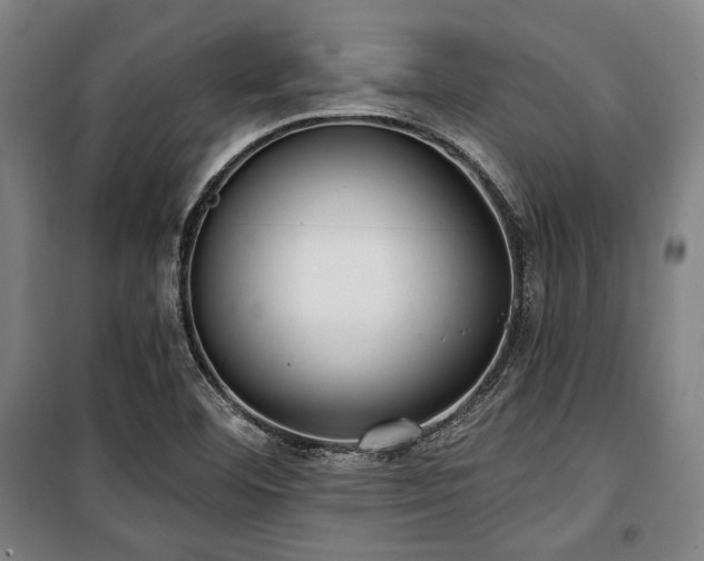 X0000100331460200806051523