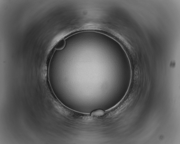 X0000100331461200806051523