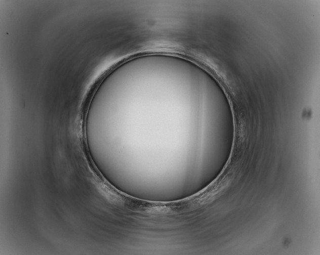X0000100331462200806051523